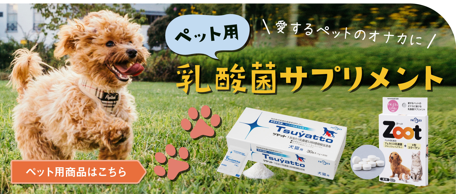 ニチニチ製薬 オンラインショップ