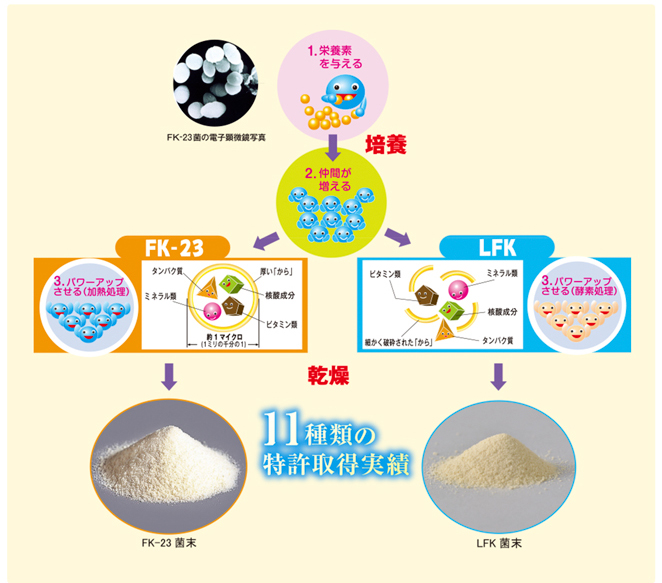 11種類の特許取得実績