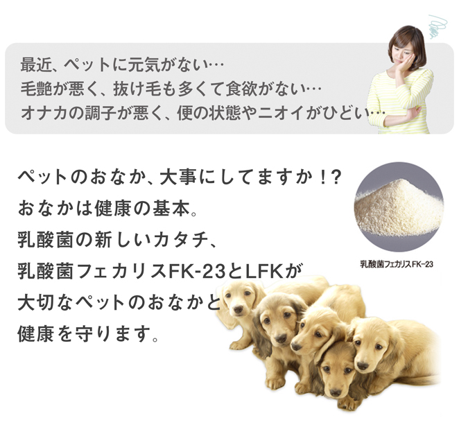 ペットのおなか、大事にしてますか!?